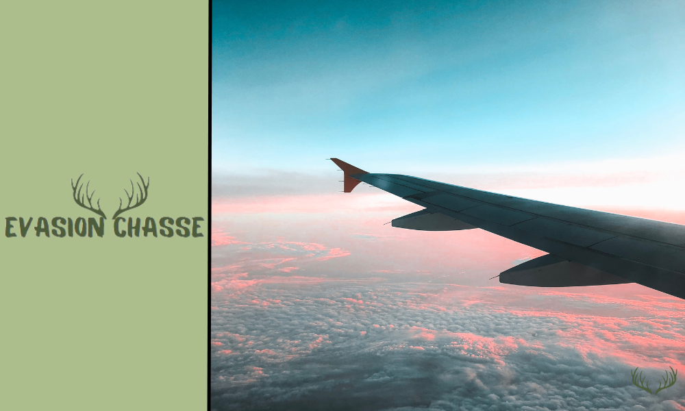 Si può portare il binocolo in aereo?