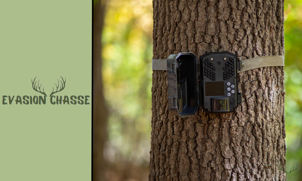 Caméra de chasse VicTsing 12MP - Camera de chasse