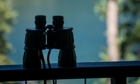 Guide d’achat : jumelles compactes ou jumelles puissantes ?