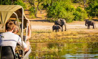 Matériel optique pour safari : le guide