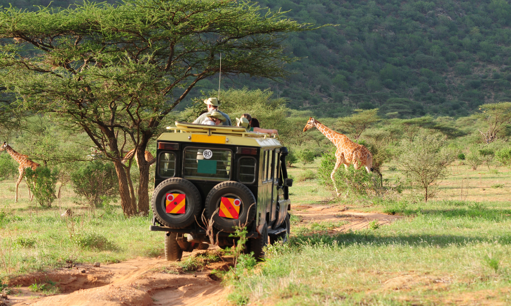 Quel safari en France ?