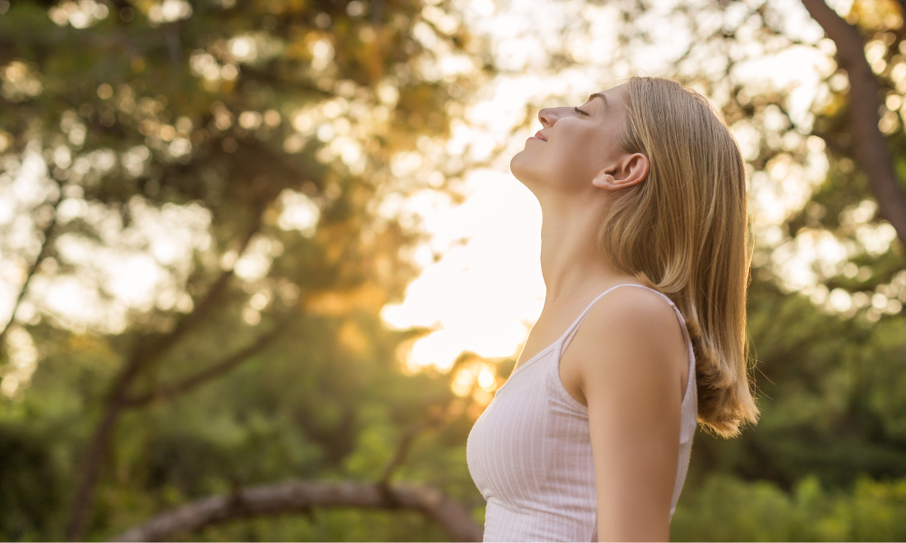 Quels sont les bienfaits des forêts pour la santé ?