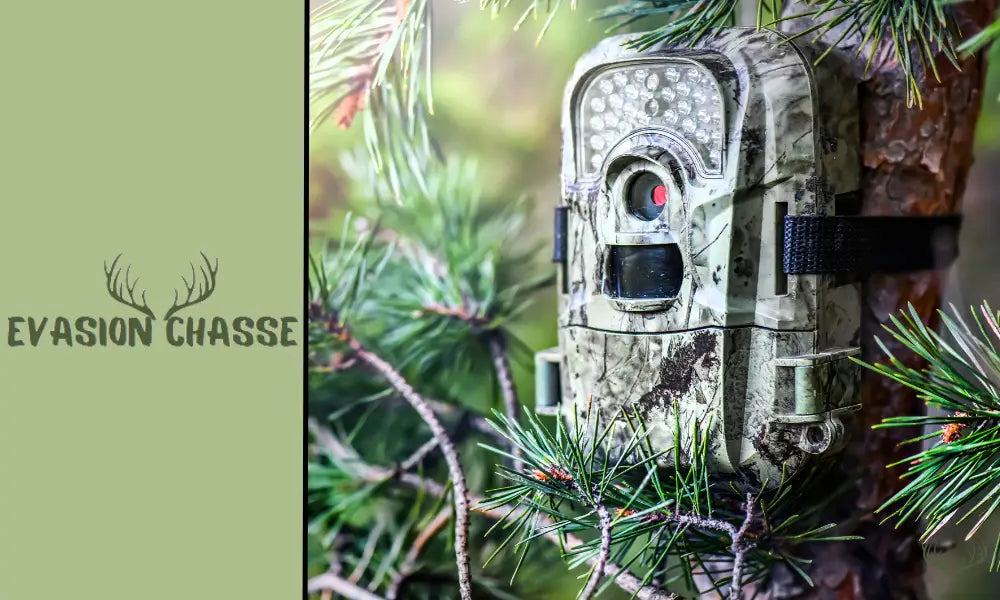 Come funziona una trail camera cellulare?