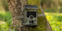 Camera de Chasse en foret