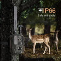 Caméra de Chasse Satellite 4G + GPS